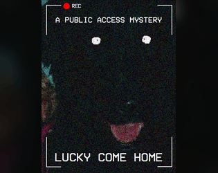 Lucky Come Home: A Public Access Mystery  