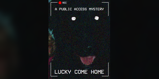Cover image for Lucky Come Home: A Public Access Mystery