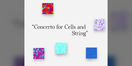 Cover image for Concerto for Cells and String