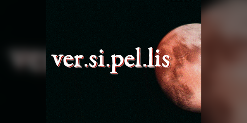 Cover image for Versipellis