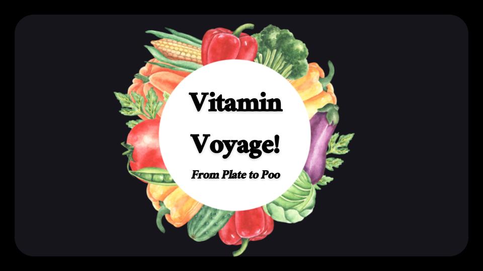 Vitamin Voyage (2024 Team 19)