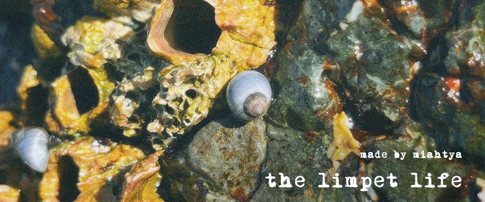 The Limpet Life
