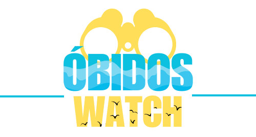 Obidoswatching