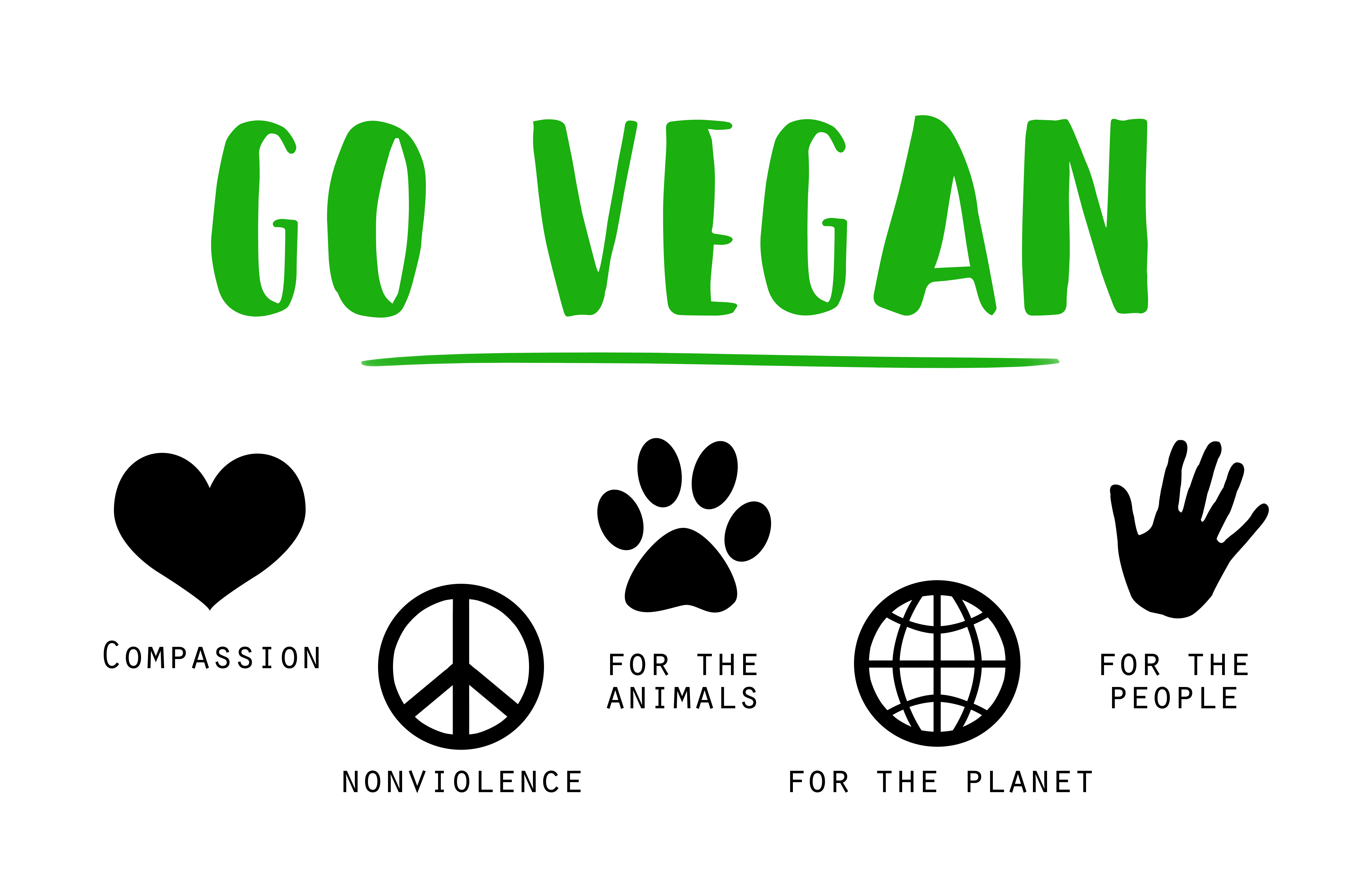 Vegan Bullshit Bingo