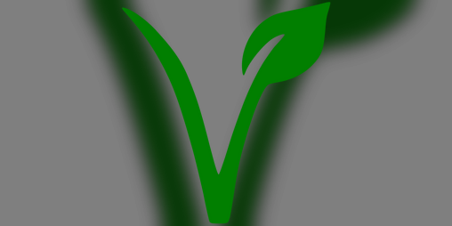 Cover image for Vegan Bullshit Bingo