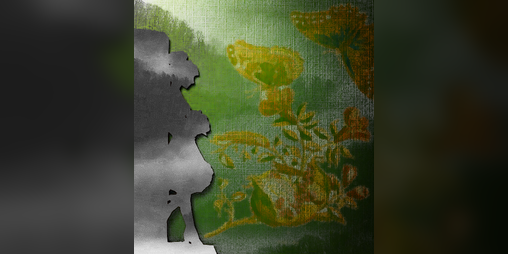 Cover image for cumulus