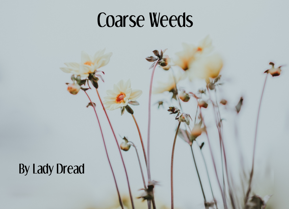 Cover image for Coarse Weeds
