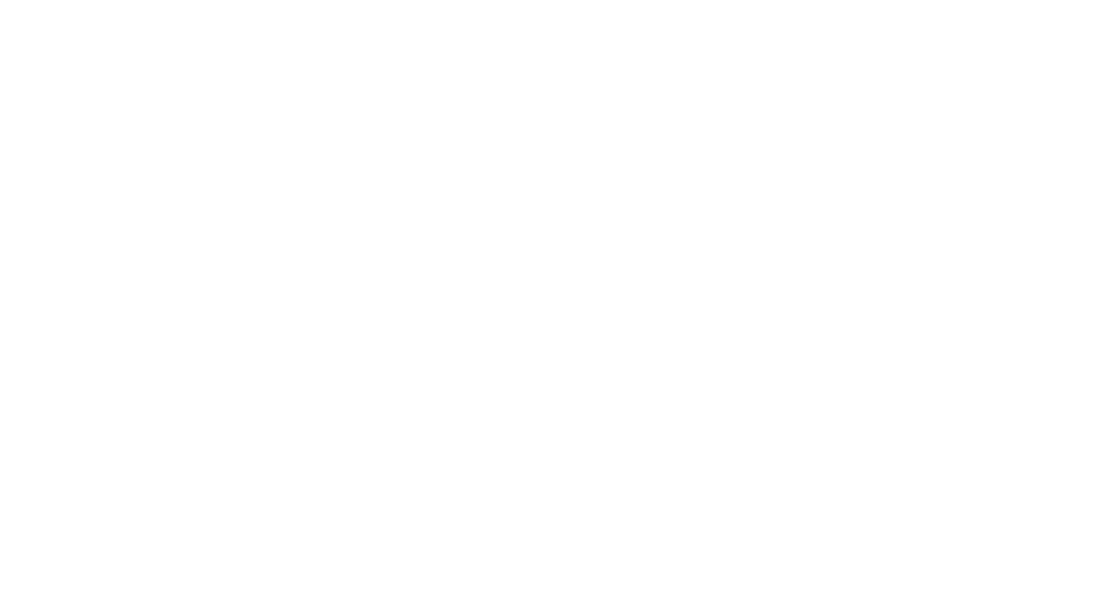 Apfel Project