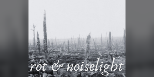 Cover image for rot & noiselight