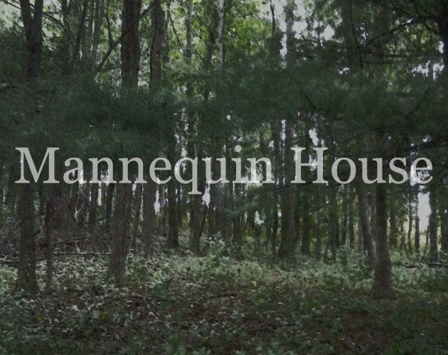 Cover image for Mannequin House Demo
