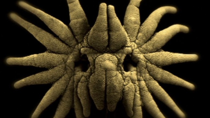 Cover image for Zombie insect