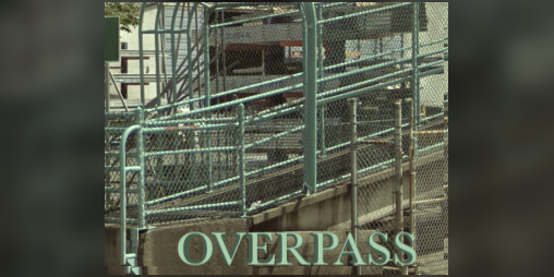 Cover image for Overpass