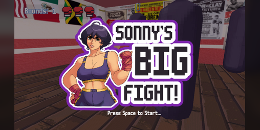 Cover image for Sonny's Big Fight!