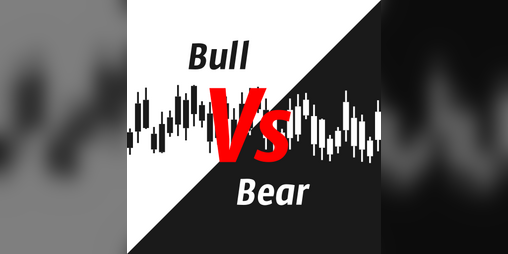 Cover image for Bull Vs Bear