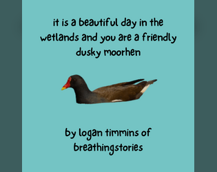 it is a beautiful day in the wetlands and you are a friendly dusky moorhen   - make friends with humans in the wetlands! 