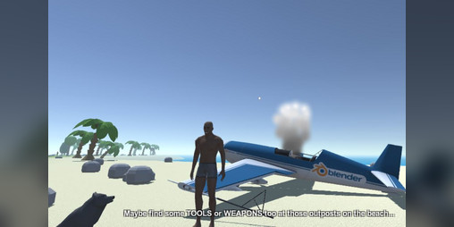 Cover image for Stranded