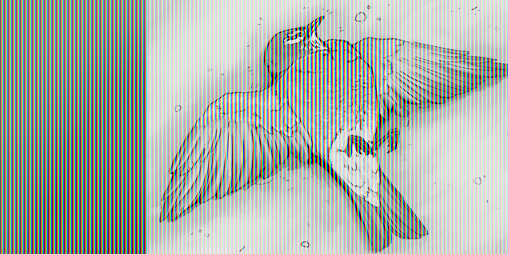 Cover image for Cold