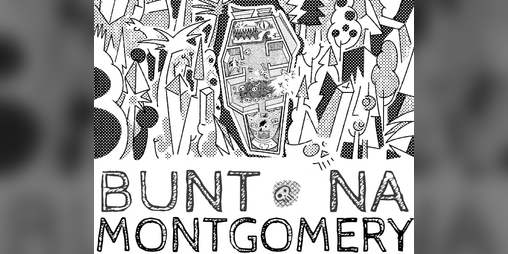 Cover image for Bunt na Montgomery