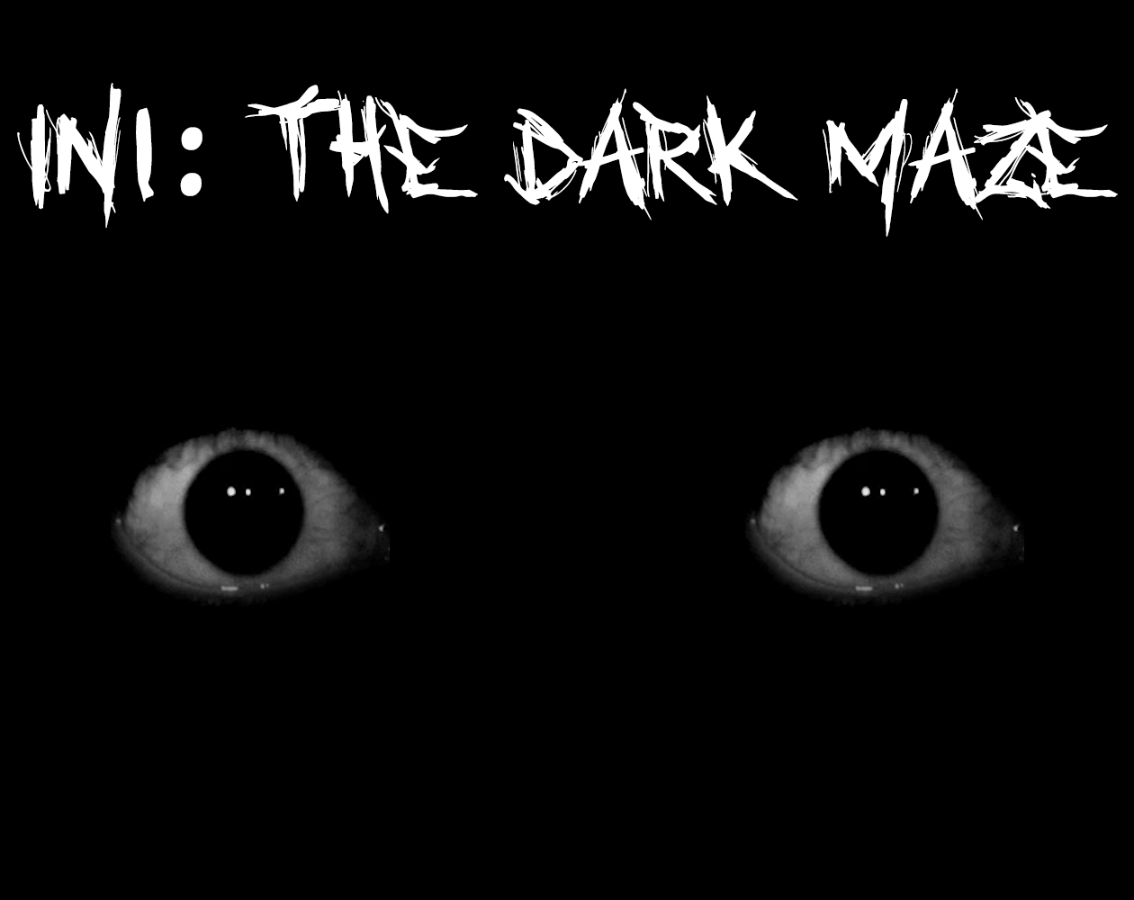 In1: The Dark Maze cover