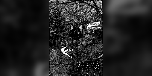 Cover image for CLIPFREAKS
