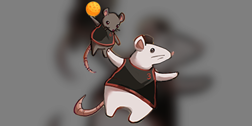 Cover image for Ratsketball