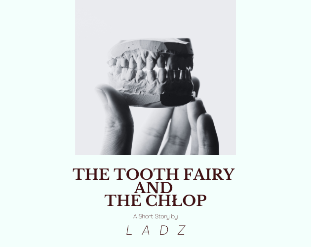 Cover image for The Tooth Fairy and the Chłop