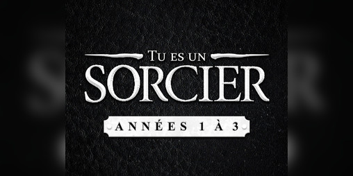 Cover image for Tu es un Sorcier (2019)