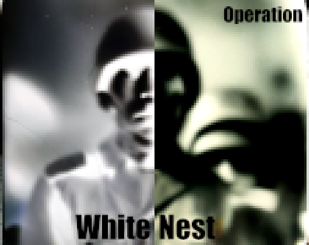 Operation: White Dragon's Nest