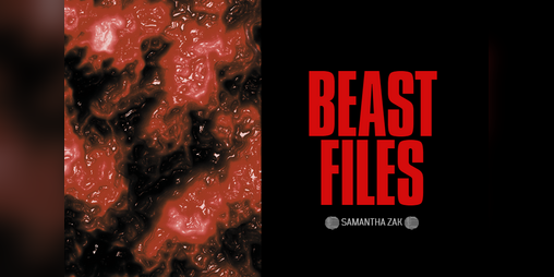 Cover image for Beast Files
