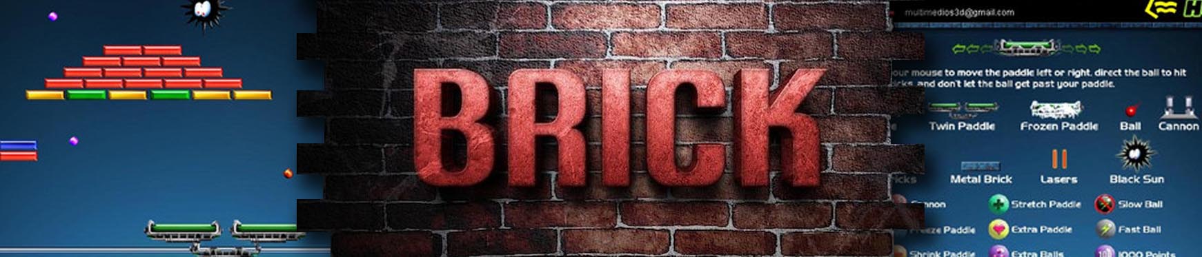 Bricks 2024