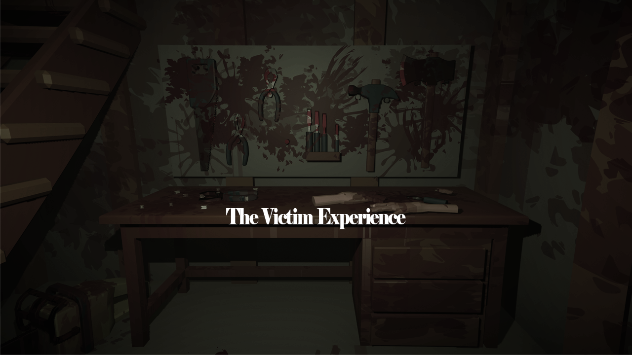 The Victim Experience