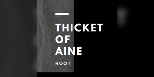 Cover image for Thicket of Aine