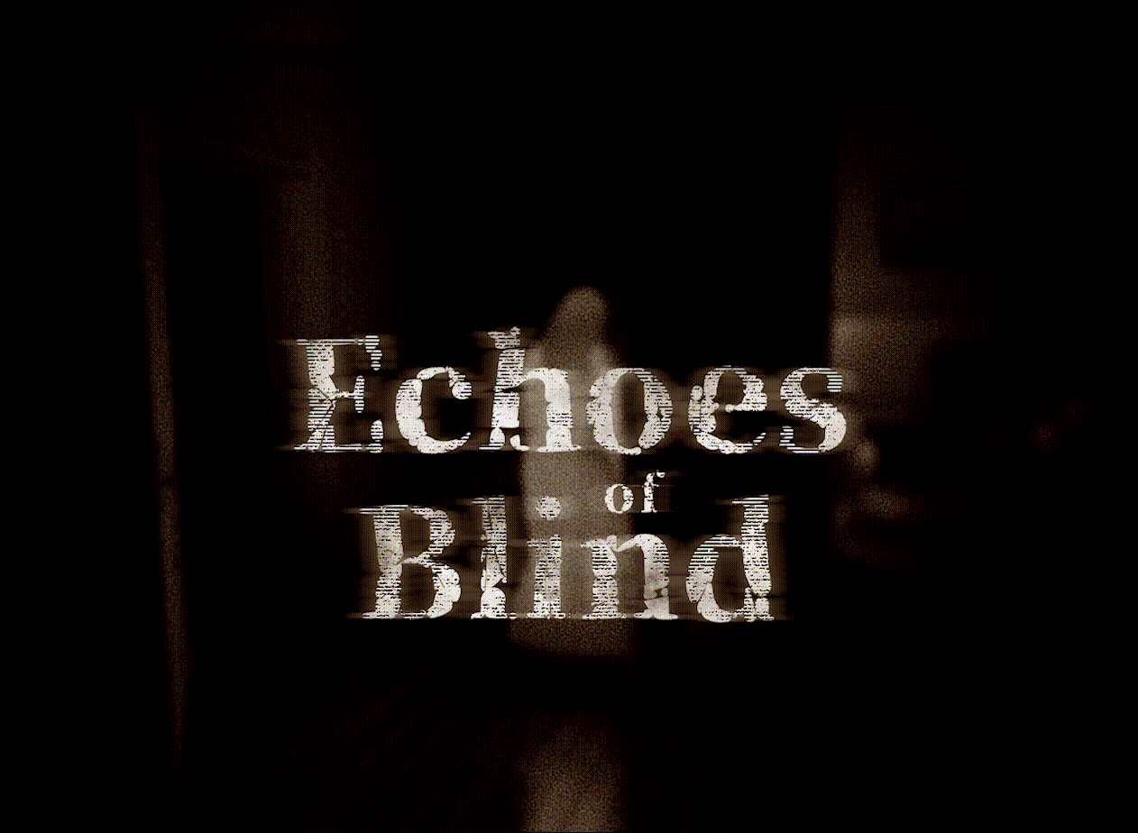 Echoes of Blind cover