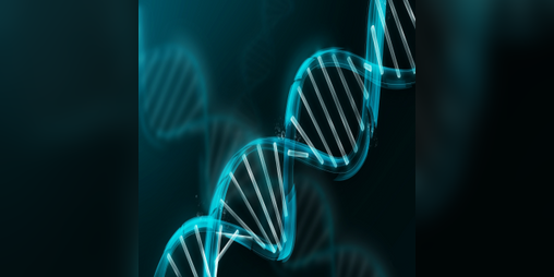 Cover image for The Sequencer