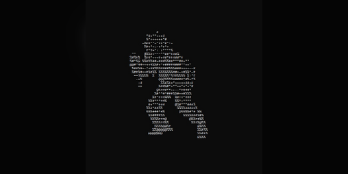 Cover image for The Quest