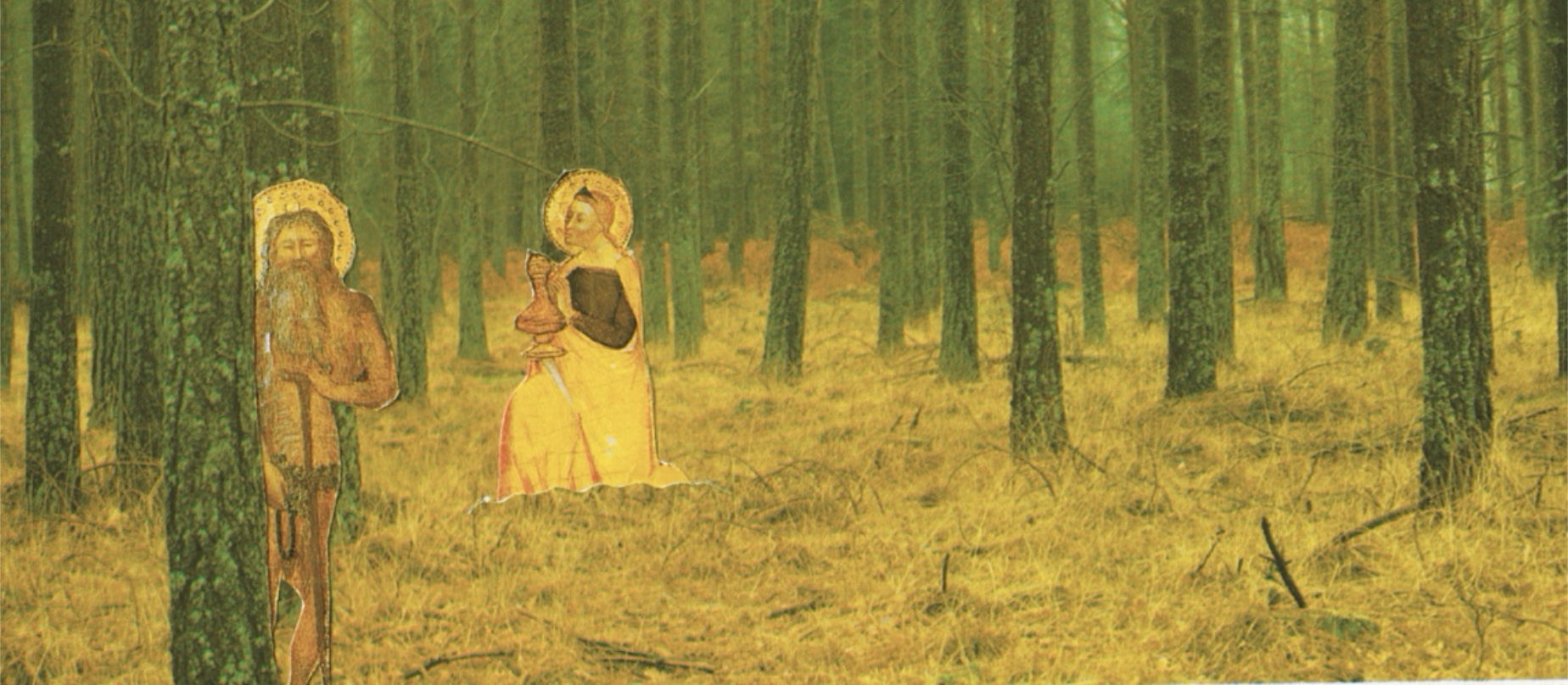 Cover image for The Gardens of Gargareth