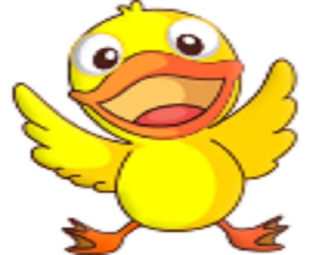 Bird Flight