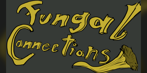 Cover image for Fungal Connections