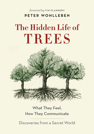 The Hidden Life of Trees