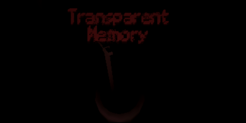 Cover image for Transparent Memory