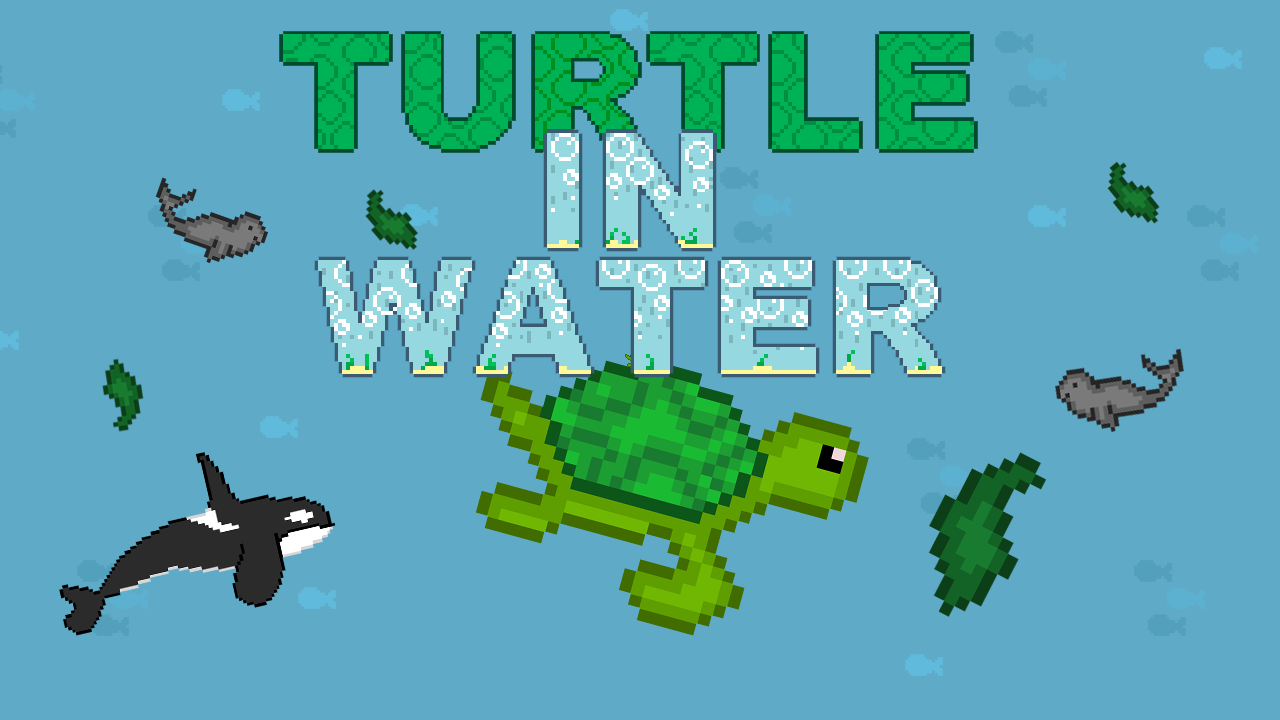 Turtle in water