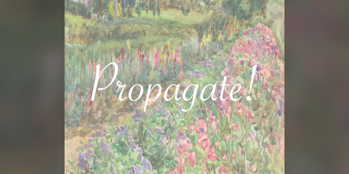 Cover image for Propagate!