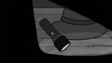 Cover image for Reflection