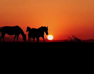 Wild Western