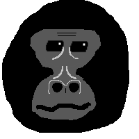 GorillaPunk
