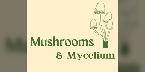 Cover image for Mushrooms & Mycelium