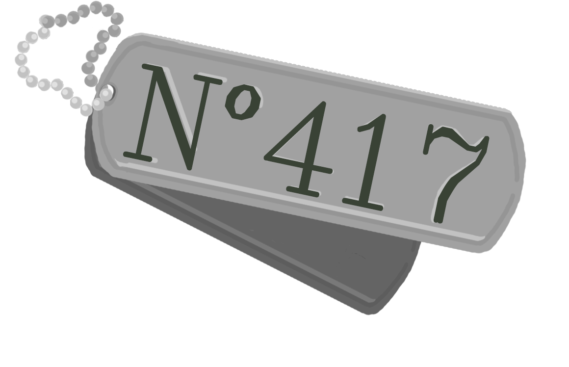 N°417