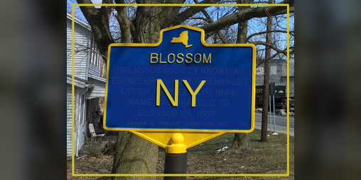 Cover image for Blossom, NY
