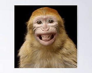 Gorilla Uprising Alpha