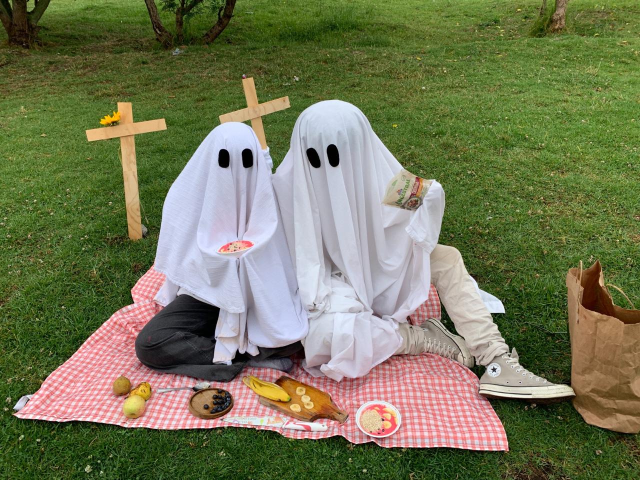 Cover image for Picnic Fantasmal